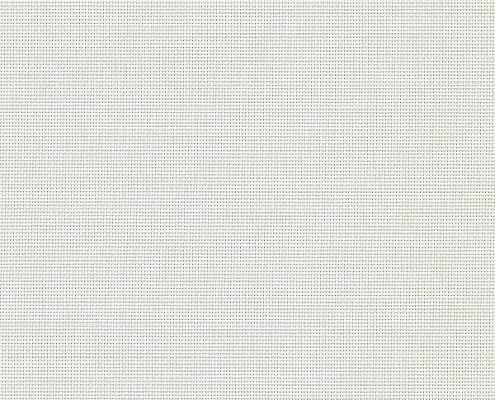2390 5_ P12 Oyster