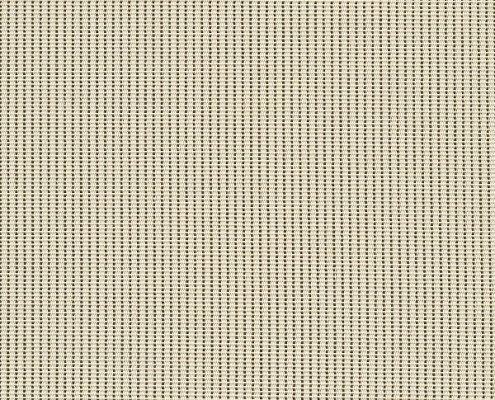 3000 14_ Q02 Custard Cream