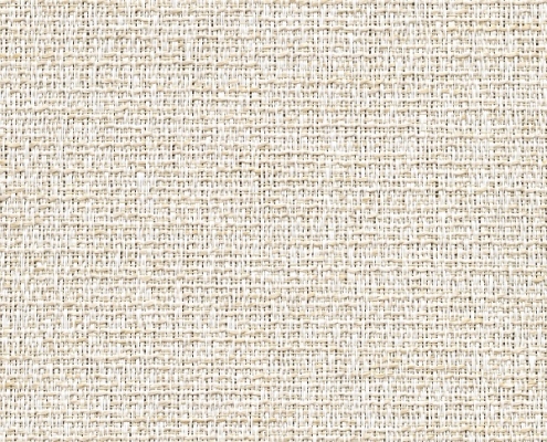 5000 3_ R89 Chenille-Marshmallow